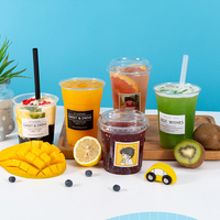 Gobelets en plastique jetables avec couvercles 16oz personnalisés pour la boisson Bar Party Drinking