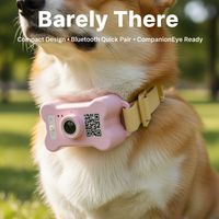 Collier de suivi GPS intelligent pour animaux de compagnie, en PVC durable, anti-perte, avec balise de positionnement pour chiens et chats, pour une utilisation quotidienne en extérieur