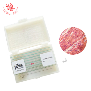 Hochschul bildung Herz muskel der menschlichen Sektion Histologie Folien - Product Image 3
