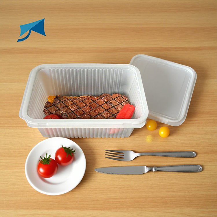 Disposable PET Plastic Trays Salad Containers