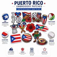 Lot de patchs brodés à coudre ou thermocollants, motifs Drapeau de Porto Rico, Coqui, Taino, Hibiscus, Domino, Bomba, Héritage