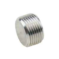 Embout de tuyau mâle hexagonal intérieur en acier inoxydable/laiton 1/4'' avec filetage BSP/NPT/G/R