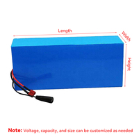 ODM OEM 24V 36V 48V 60V 72V 100Ah 30Ah 50Ah 60Ah 200Ah LiFePO4 6000-Cycle Lithium-Ion Battery Pack for E-bike Scooter Electronic