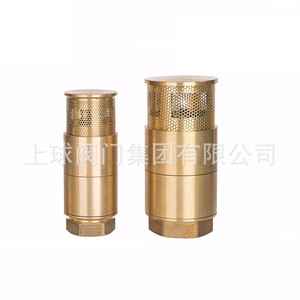 Válvula de Retención de Cobre Up The Ball AL1023966174 con Revestimiento de Goma para Productos Petrolíferos, Tipo de Cierre Lento - Product Image 3