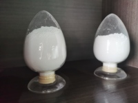 Expédition Rapide HONGYU Oxyde de Calcium (Chaux Végétale) Pierre Calcaire en Vrac Pureté 95%-96% Certifié ISO9001 Réglage du pH 200-1200 Mesh MOQ 1MT