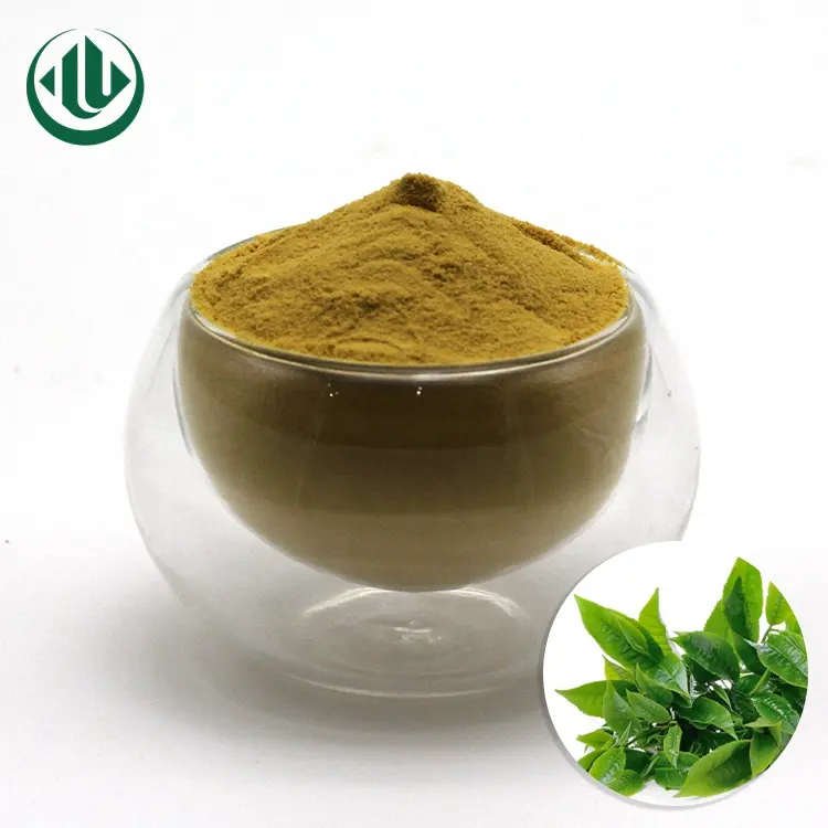 High quality Green Tea Extract Powder Tea polyphenol 30% Best Green Tea Supplements