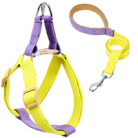 Suministros al por mayor transpirable ajustable cachorro gato D anillo arnés chaleco Bulldog francés accesorios Correa y arnés conjunto
