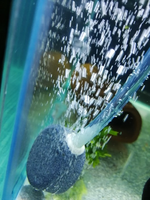 Pierres à bulles d'air pour Aquarium, Aquarium, étang et culture hydroponique, 8 pièces