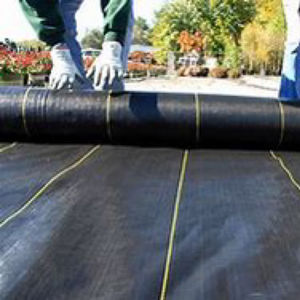 Film de paillis de couverture de sol agricole empêchant la croissance de l'herbe Plastique Argent et noir Plain GOLD SUN Gsm Style Couleur Poids - Product Image 3