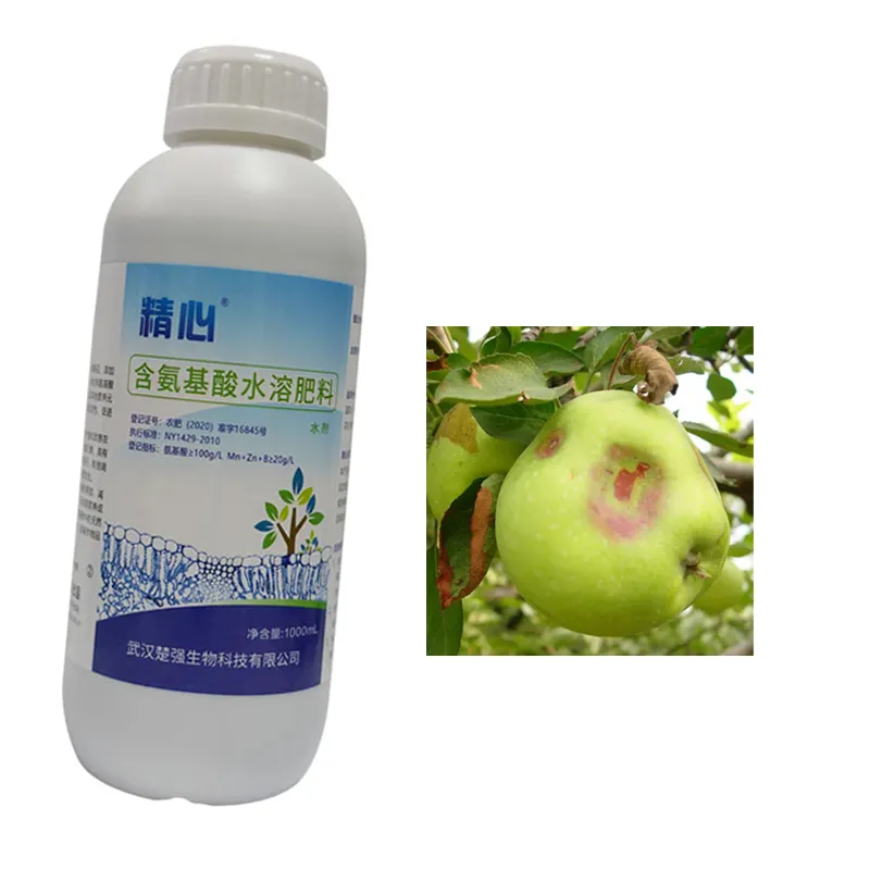 Jingxin الأسمدة القابلة للذوبان في الماء والتغذية الغنية تحسين جودة الفواكه النباتية زيادة الإنتاجية