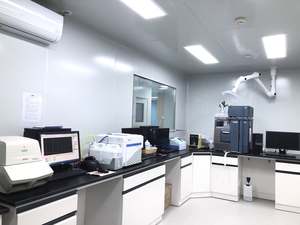 滑らかな完璧のためのシルクタッチコラーゲン血清CL02 - Product Image 5