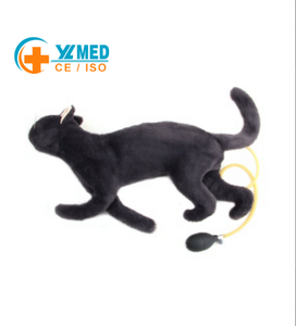 Maniquí <span class=keywords><strong>de</strong></span> RCP Felino, Modelo <span class=keywords><strong>de</strong></span> Reanimación <span class=keywords><strong>de</strong></span> Primeros Auxilios Veterinarios para Gatos, para Entrenamiento en Hospitales <span class=keywords><strong>de</strong></span> Mascotas y Uso en la Enseñanza en Escuelas Veterinarias - Product Image 1