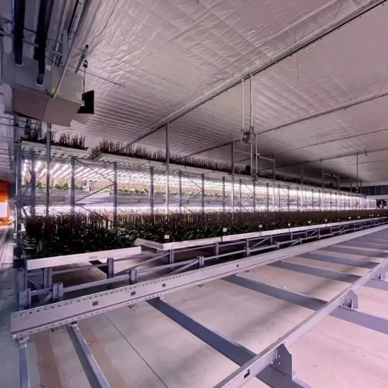Sansi LED 조명 제조업체 대형 접이식 디 밍이 가능한 전체 스펙트럼 새로운 접이식 식물 성장 램프