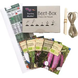 Kit di coltivazione per bambini Kit di piante con scatola di verdure biologiche personalizzate per bambini
