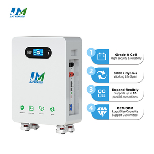 Paquetes de Baterías Personalizados de Fábrica JM, 300Ah 15kWh, Paquete de Baterías de Almacenamiento de Energía Solar de 51.2V 300Ah con BMS - Product Image 4