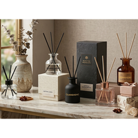 Bouteilles en verre pour diffuseur de parfum, flacons vides pour diffuseur de parfum en boîtes