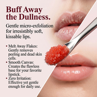 Scrub Bibir Profesional Mint dengan Garam Laut Mati, Lidah Buaya, Melembapkan, Mengelupas, Menghilangkan Kulit Mati, Menghaluskan, dan Mencerahkan