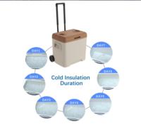 Glacière isotherme roulante anti-fuite 24L 30L 52L avec roues et poignée télescopique, pour camping et barbecue