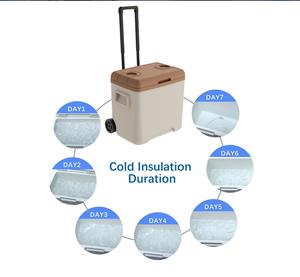 Glacière isotherme roulante anti-fuite 24L 30L 52L avec roues et poignée télescopique, pour camping et barbecue - Product Image 3