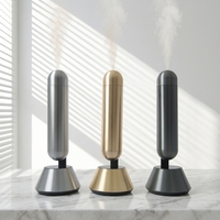Diffuseur d'huiles essentielles sans eau de luxe pour la maison, diffuseur d'aromathérapie rechargeable, nébuliseur sans fil, diffuseur de parfum d'ambiance