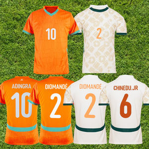 Camiseta de Fútbol de Costa de Marfil para Hombre, Versión Premium de Jugador, Equipación de Fútbol, Maillot de Foot Costa de Marfil, Gran Venta 2025-26 AFCON - Product Image 1