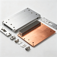 Plaque de refroidissement liquide personnalisée pour serveur IA et dissipateur thermique pour GPU, gestion thermique haute efficacité pour les centres de données