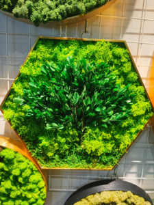 J-11205 Wholesale Customized Preserved <strong>Moss</strong> Panel Preserved Reindeer <strong>Moss</strong> With Frame for Home Decoration - Product Image 2