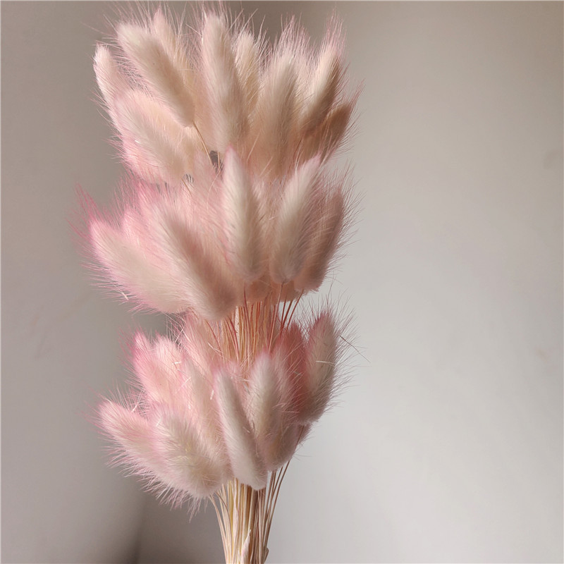 Pink 3