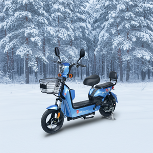 Chinese-made Low-cost Motorcycles Foldable Rear <b>Hub</b> Motor Electronic Features Brushless Portable Design 50km/h - Product Image 4