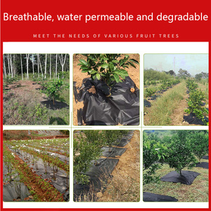 Toile de paillage écologique, film anti-mauvaises herbes, toile de paillage perméable et rétenteur d'<span class=keywords><strong>engrais</strong></span> - Product Image 6