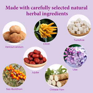 OEM ODM Listo para Enviar: Bolsitas de Té para el Bienestar Digestivo, Mezcla Natural de Hericium, Poria y Ñame, Favorece la Comodidad Digestiva, 20 Bolsitas - Product Image 2