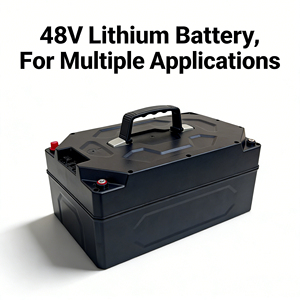 Manufacturer Directly Supplied <b>48V</b> 30Ah <b>Battery</b> Pack for E-Tricycles - Product Image 3