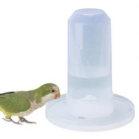 Mini-abreuvoir automatique anti-déversement pour volailles, gecko cranté et oiseaux, fontaine à gravité avec bol peu profond