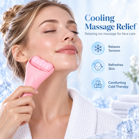 Rouleau de massage pour le visage et le corps en forme de W, rechargeable avec des billes d'eau, pour le soin de la peau à domicile, OEM