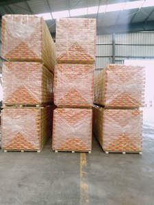 Travi H20 Multiuso per Casseforme Castellate EN13377-2002, Produzione di Fabbrica - Product Image 2