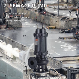 Station de pompage de drainage à sortie 2 pouces en fonte de haute qualité, très vendue, avec fosse à eaux usées à basse pression et pompe à eaux usées - Product Image 3
