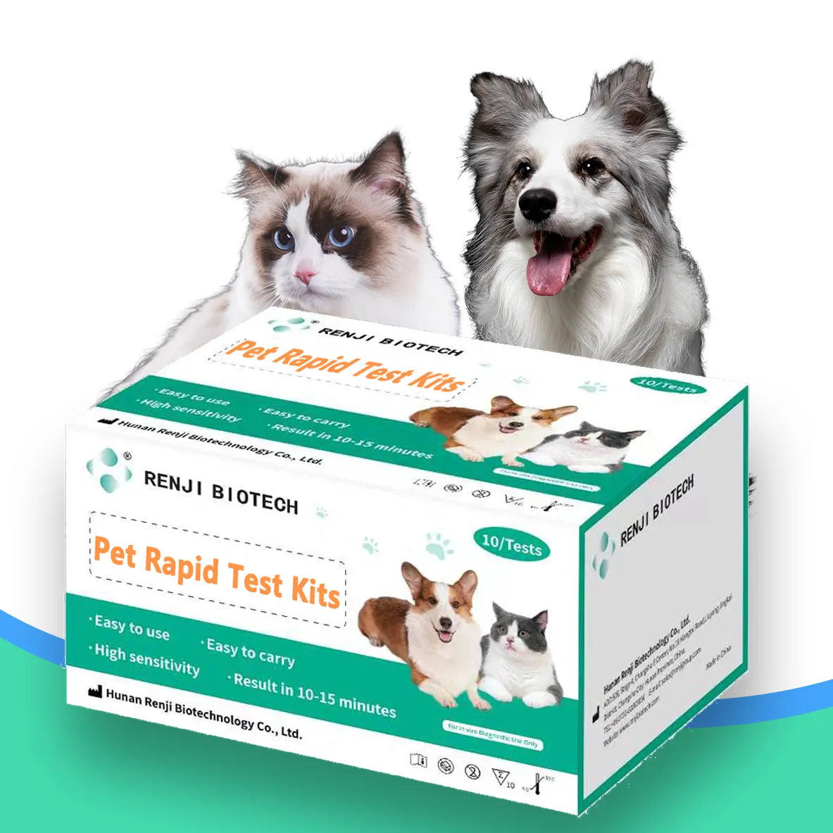 Um Pet Care Kit Teste Dirofilaria Kit Teste Rápido para Pet