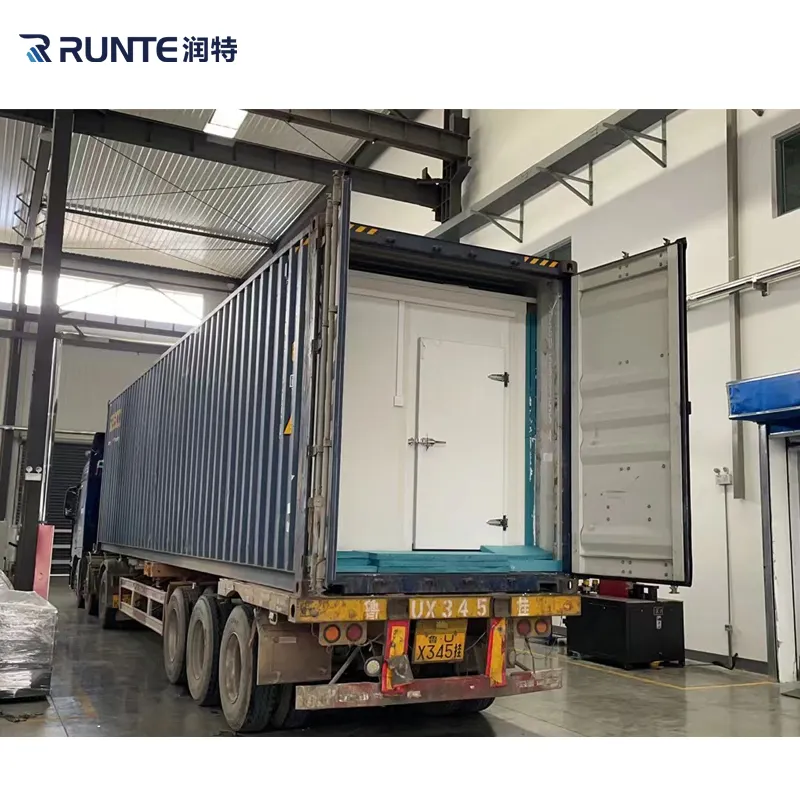 20FT 40FT Container Freezer Cold Room Container