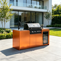 Vente en gros de barbecue extérieur professionnel en acier inoxydable 304, intégré à la cuisine, avec évier, résistant aux intempéries, E0 CE CARB P2 OEM pour l'UE, l'Australie et les États-Unis