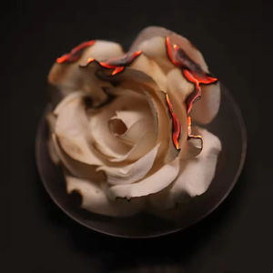 Aromaterapia para el Hogar, Ecológica, de Larga Duración, Creativa, Ritualística, Decoración Perfumada, Papel Floral, Boda, <span class=keywords><strong>Concierto</strong></span>, Discoteca, Estilo Extravagante - Product Image 1