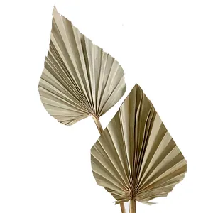 Zante mini vaso de decoração de folhas seca, atacado de natureza, vaso de decoração, formato de coração, ventilador de palma, triângulo, folha de palma seca