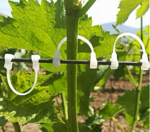Clips de vigne de qualité export Chili - Crochets de vignoble entièrement en plastique - Supports de branches de <span class=keywords><strong>kiwi</strong></span> anti-UV pour grandes vergers - Product Image 6