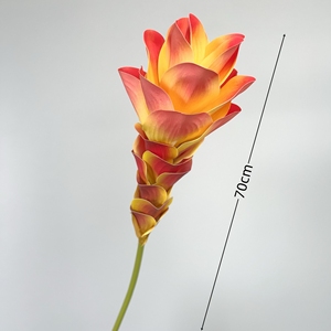 ดอกขิงยางพาราคุณภาพสูงสำหรับตกแต่งงานแต่งงาน วันแม่ คริสต์มาส ปีใหม่ - Product Image 3
