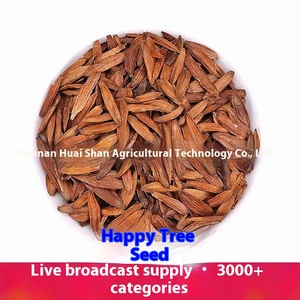 Venta al por mayor a granel de Tianzishu semillas de fruta de castaña de agua árbol-estilo crudo seco con proceso de secado de anuncios - Product Image 3