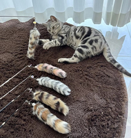 Jouet pour chat de haute qualité, style queue de renard en peluche, baguette à plumes rétractable en 3 sections pour le jeu et l'exercice des chats
