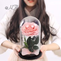 Hflora Vente en gros personnalisée Cadeau pour la Saint-Valentin, la fête des mères, un anniversaire, une remise de diplôme, le Nouvel An, cadeau pour petite amie, rose éternelle sous cloche en verre