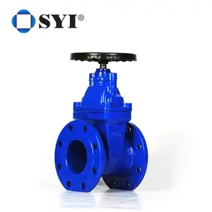 Potable Water Supply BS5163 DN125 Handle Operation Ductile Cast Iron Gate Valve