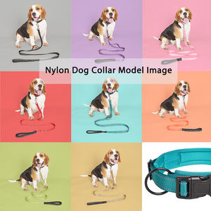 Collar de correa de perro de nailon Collar de hebilla de Metal duradero de seguridad reflectante de moda de lujo para perros grandes - Product Image 6