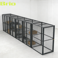 BRIO Free CAD Layout 2"*2" Casier de garage, rangement pour outils et matériel de garage pour la maison et l'industrie