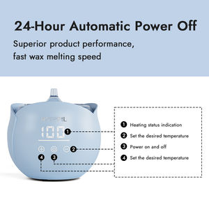 En stock, vente en gros, kit chauffe-cire dépilatoire 450 ml avec certificat CE, appareil professionnel pour l'épilation corporelle - Product Image 2